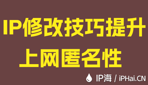IP修改技巧提升上網(wǎng)匿名性